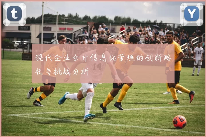 现代企业会计信息化管理的创新路径与挑战分析