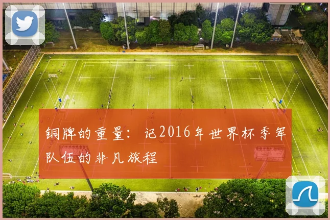 铜牌的重量：记2016年世界杯季军队伍的非凡旅程