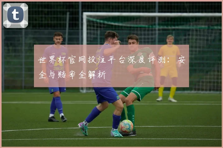 世界杯官网投注平台深度评测:安全与赔率全解析