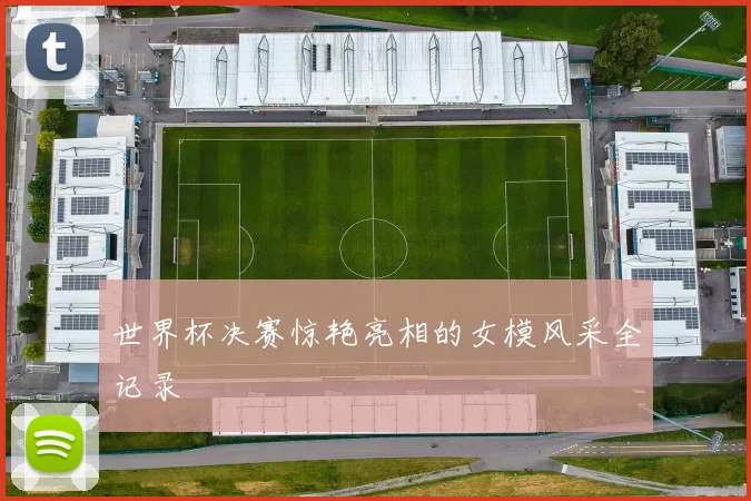 世界杯决赛惊艳亮相的女模风采全记录