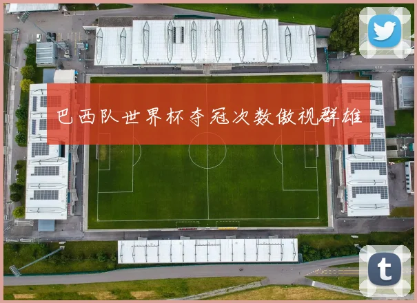 巴西队世界杯夺冠次数傲视群雄