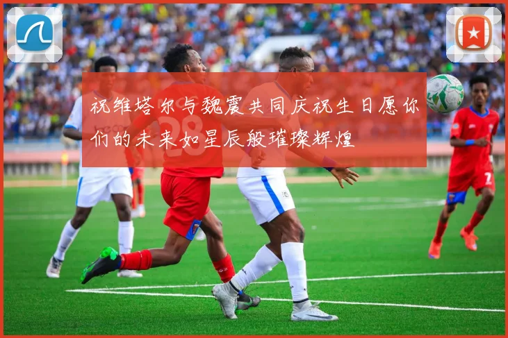祝维塔尔与魏震共同庆祝生日愿你们的未来如星辰般璀璨辉煌