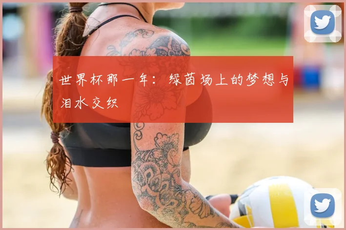 世界杯那一年：绿茵场上的梦想与泪水交织