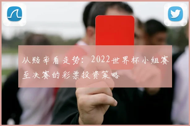 从赔率看走势：2022世界杯小组赛至决赛的彩票投资策略