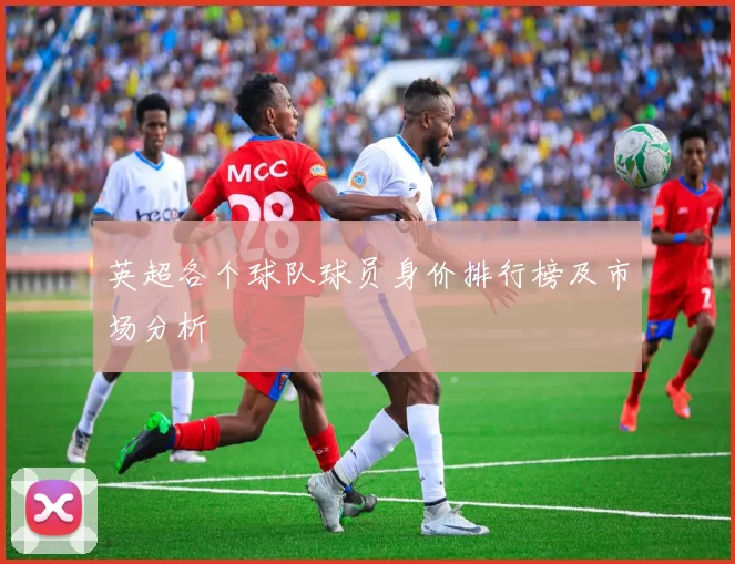英超各个球队球员身价排行榜及市场分析
