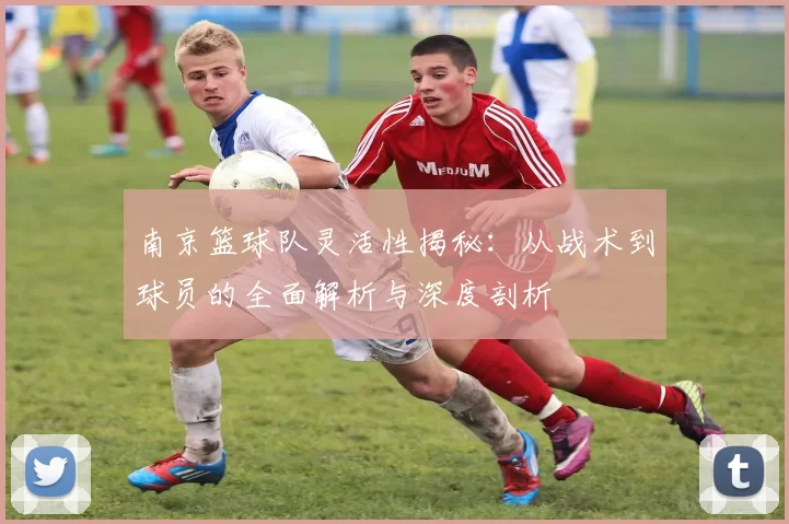 南京篮球队灵活性揭秘：从战术到球员的全面解析与深度剖析