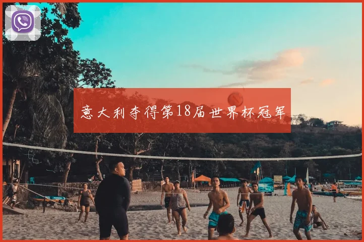 意大利夺得第18届世界杯冠军