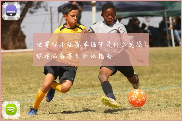 世界杯小组赛单循环是什么意思?球迷必备赛制知识指南