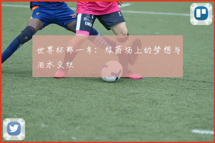 世界杯那一年：绿茵场上的梦想与泪水交织