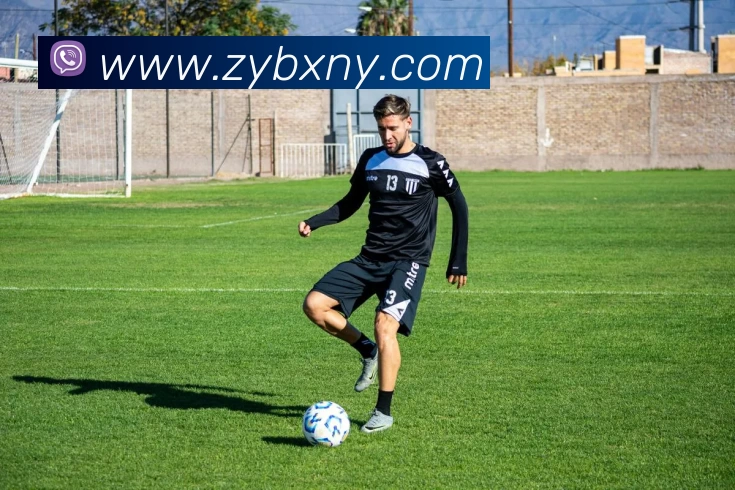 星空体育平台生态图