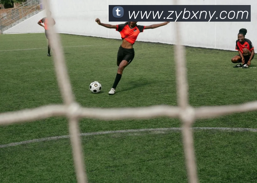 数据防护可视化